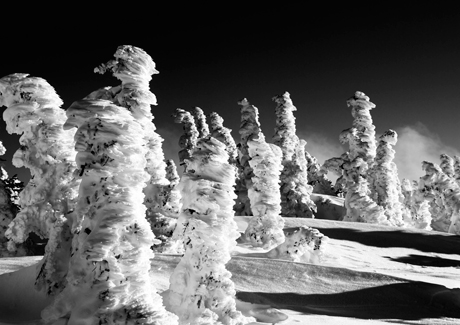 2013 OUTLOOK: Growth in a cold climate