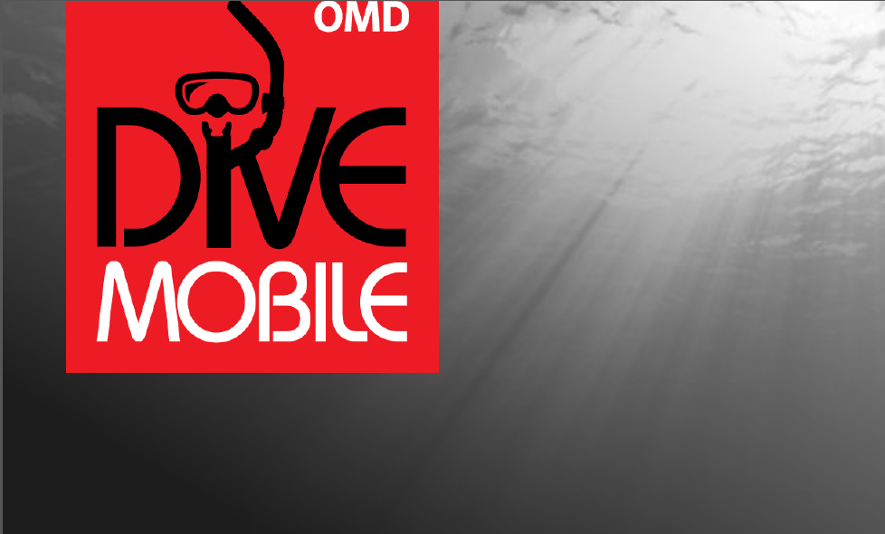 Chinese ambivalence toward mobile ads: data from OMD