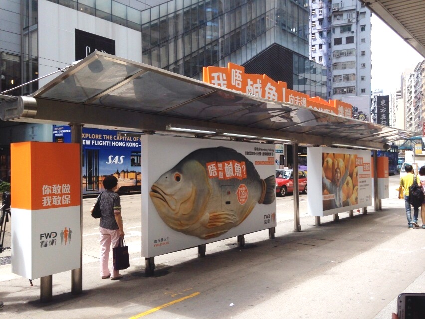 Salty fish aims to inspire Hong Kong's young generations
