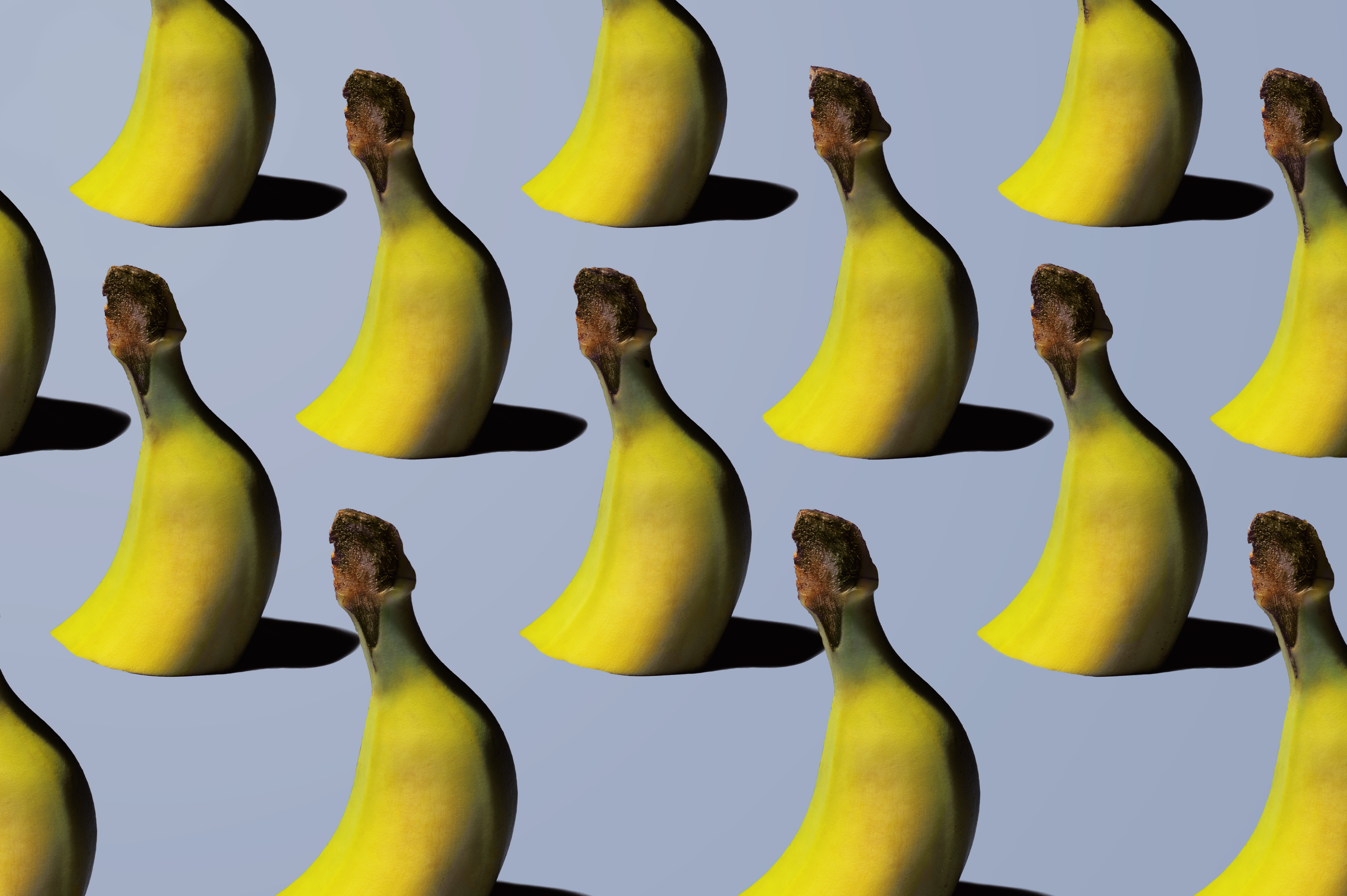 6 visual trends to consider when designing creative in 2016