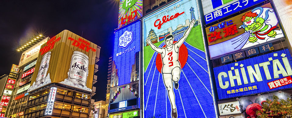 Japan market snapshot: Slow growth, except in ecommerce