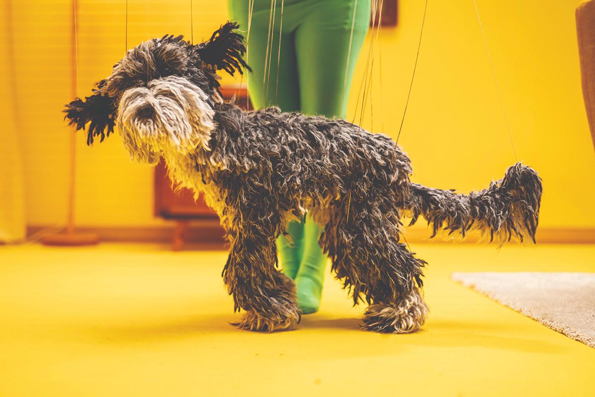 How creatives freed their minds during lockdown