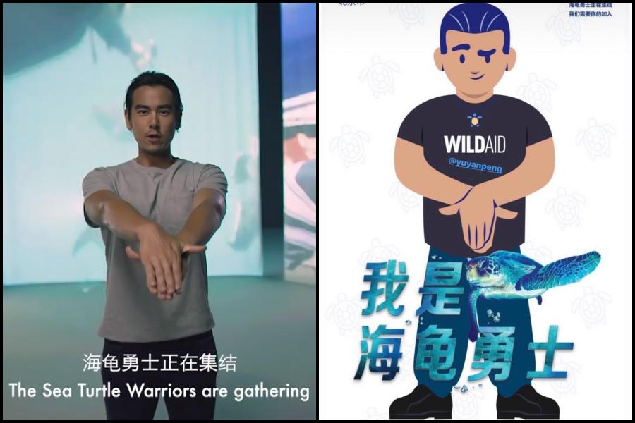 Actor Eddie Peng recruits sea turtle warriors in China