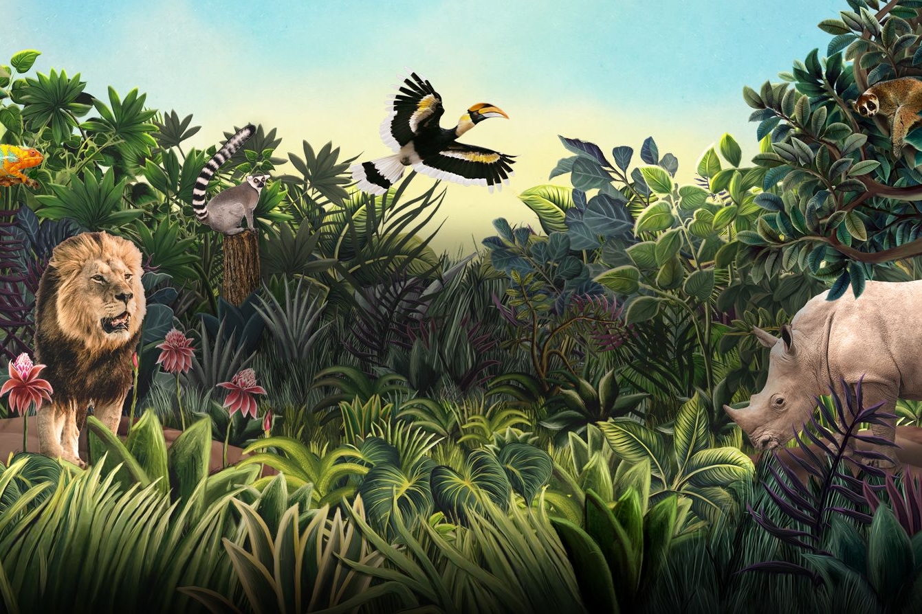 Mandai Wildlife Group hands creative AOR to TBWA Singapore