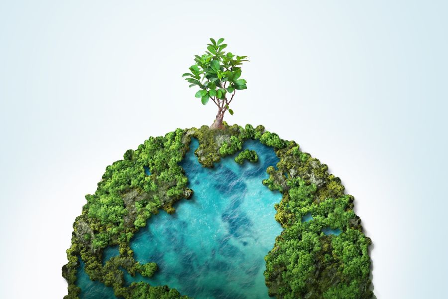 We all have a collective responsibility to make progress on sustainability