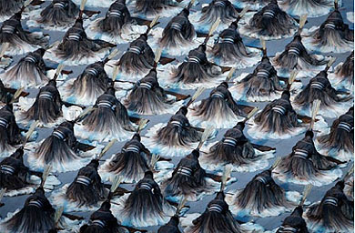 Olympics Watch - Day Four