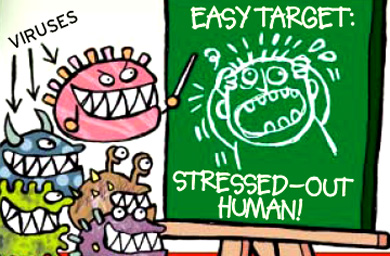 HPB calls a $5 million media pitch