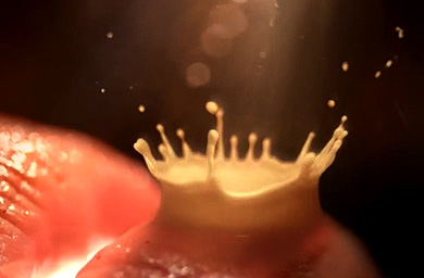 Agencies gear up for Diageo digital