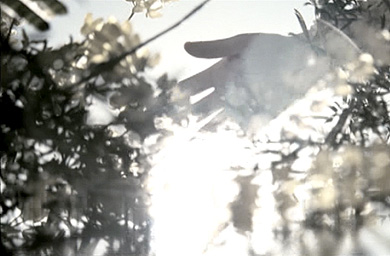 Edelman wins Samsung global PR account