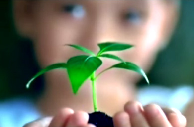 Sime Darby calls pitch