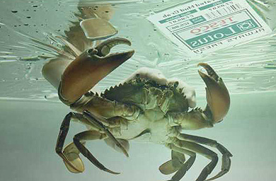 Tesco Thailand shortlists agencies