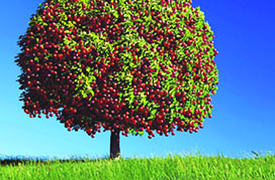 Ogilvy picks up CIMB business