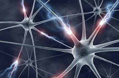 Taiwan invests billions in creative industries