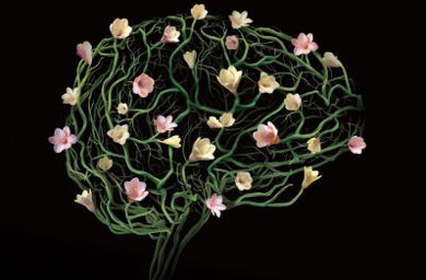 Perspective... Have you created a winning campaign this year?