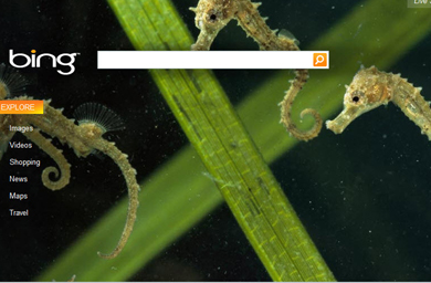 Microsoft's Bing to hit Asia this year