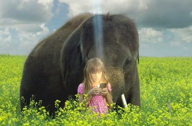 Texas Instruments hands regional media to UM