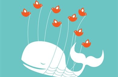 China shuts down domestic social media