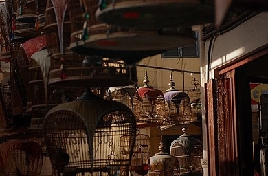 M&C Saatchi tipped to win Petronas' creative business