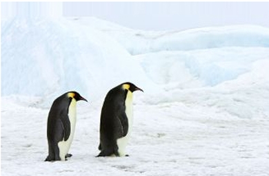 Hill & Knowlton named AOR of UN Climate Change Conference