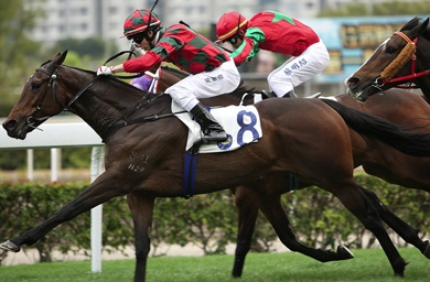 Hong Kong Jockey Club seeks digital rebrand