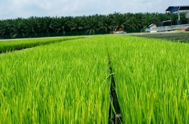 Mindshare nets Sime Darby's media account