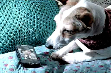 Waggener Edstrom resigns Samsung Hong Kong account