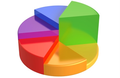 2009 Agency Image Survey