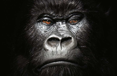 How should Kraft handle Cadbury?