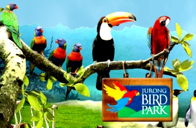 Wildlife Reserves appoints Icon for Bird Park, Zoo and Night Safari