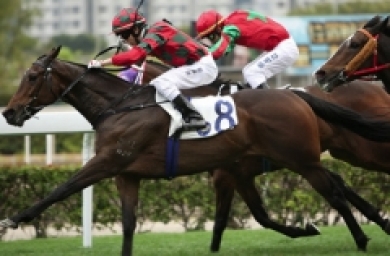 HK Jockey Club shortlists digital agencies for project