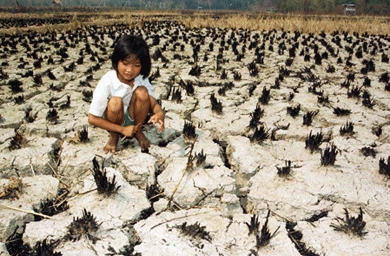 Regional air conditioner manufacturers benefit from hot weather