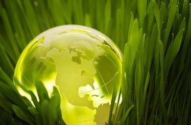 Agencies should help set the region's fledgling sustainability agenda