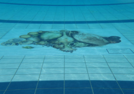 BBH Asia-Pacific taps underwater media for Museum campaign