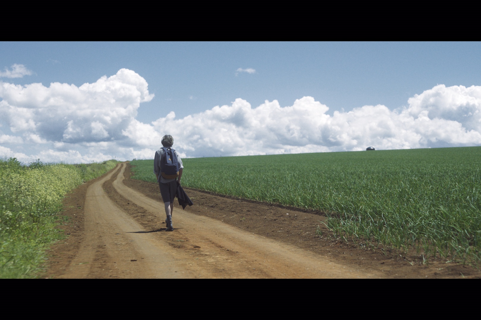 This film about a dancer will make your heart soar