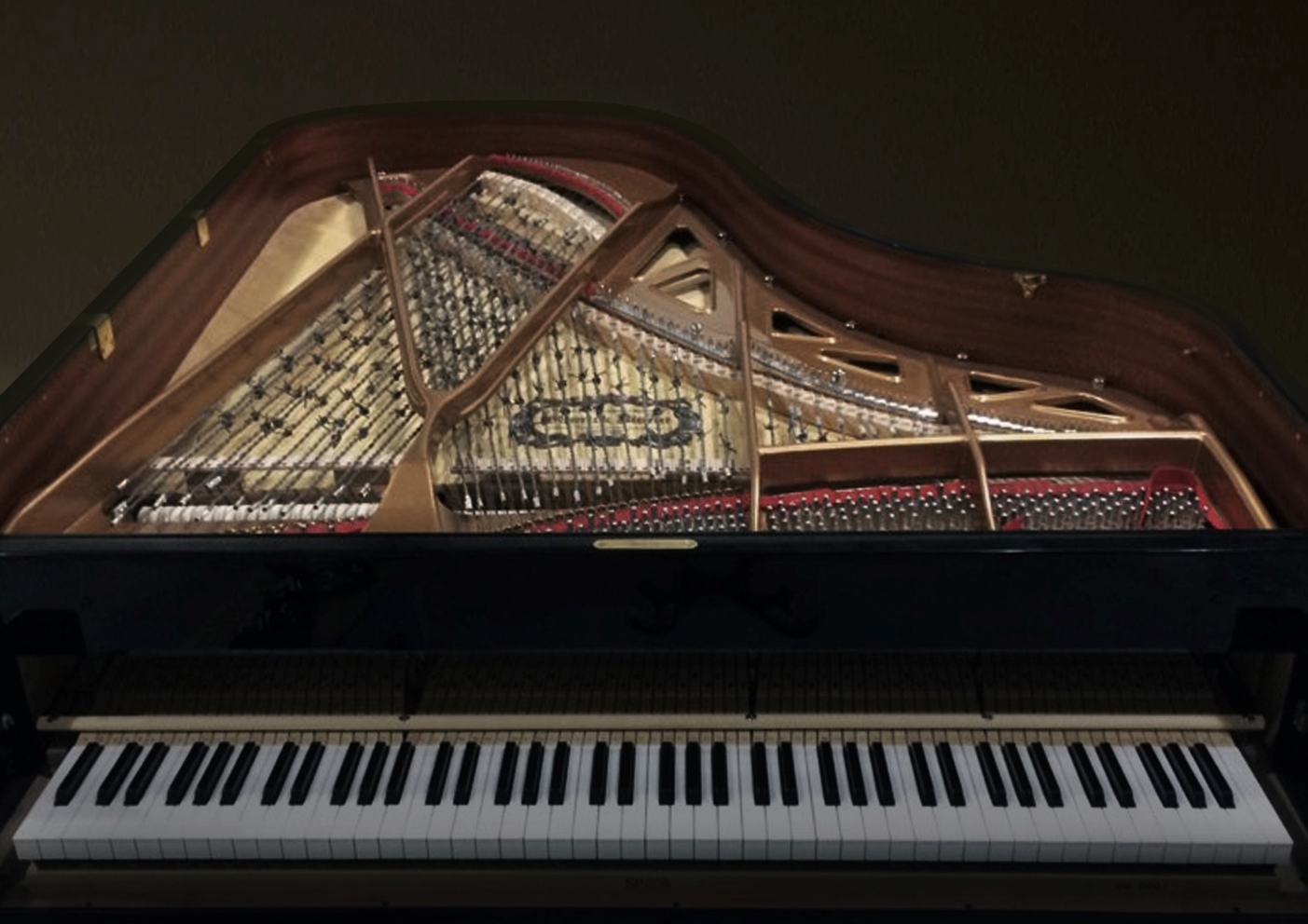 A piano made of barbed-wire from inter-Korean border