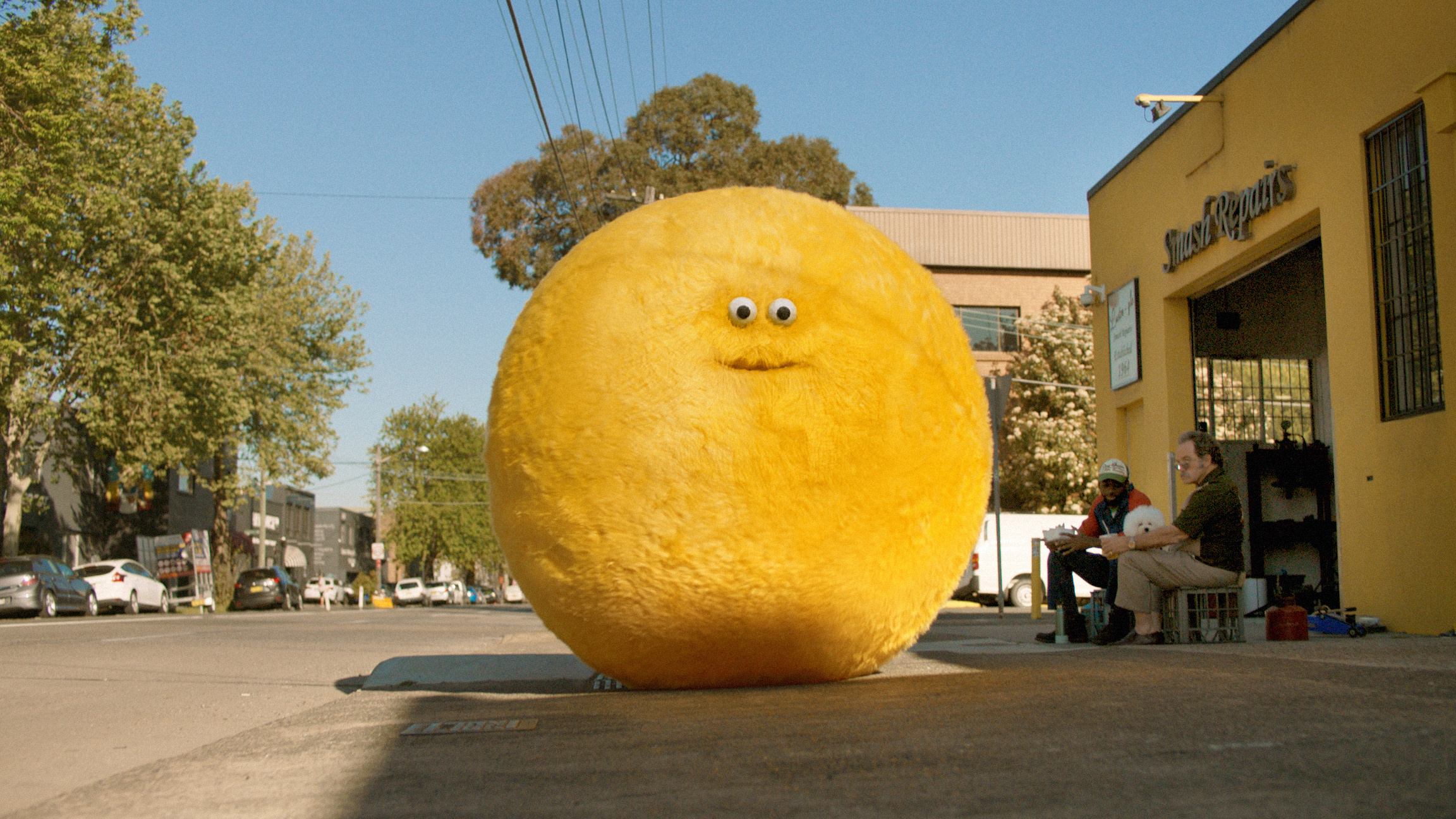 Let's roll with Larry, the coolest giant puffball in town
