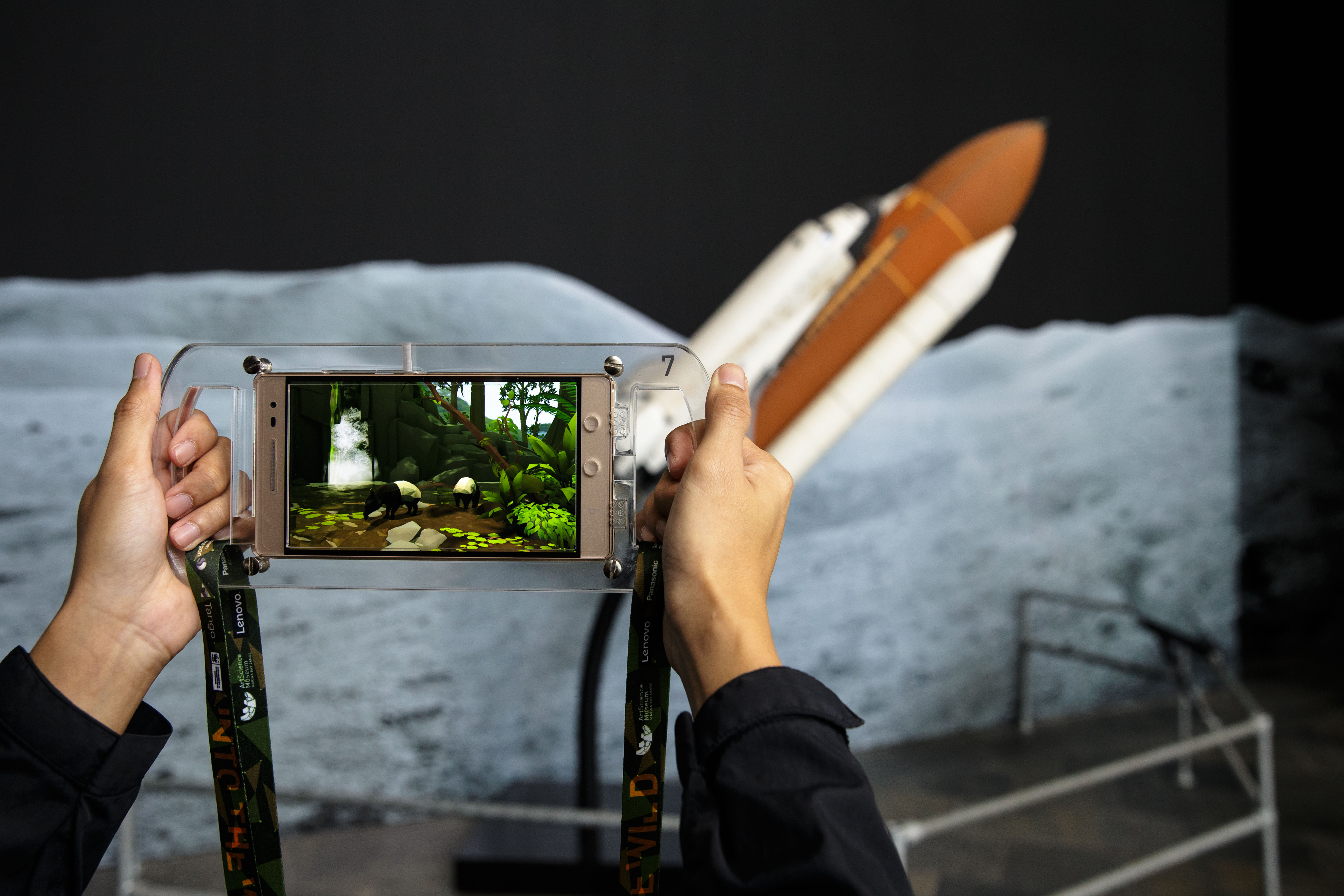 When brand experience goes wild