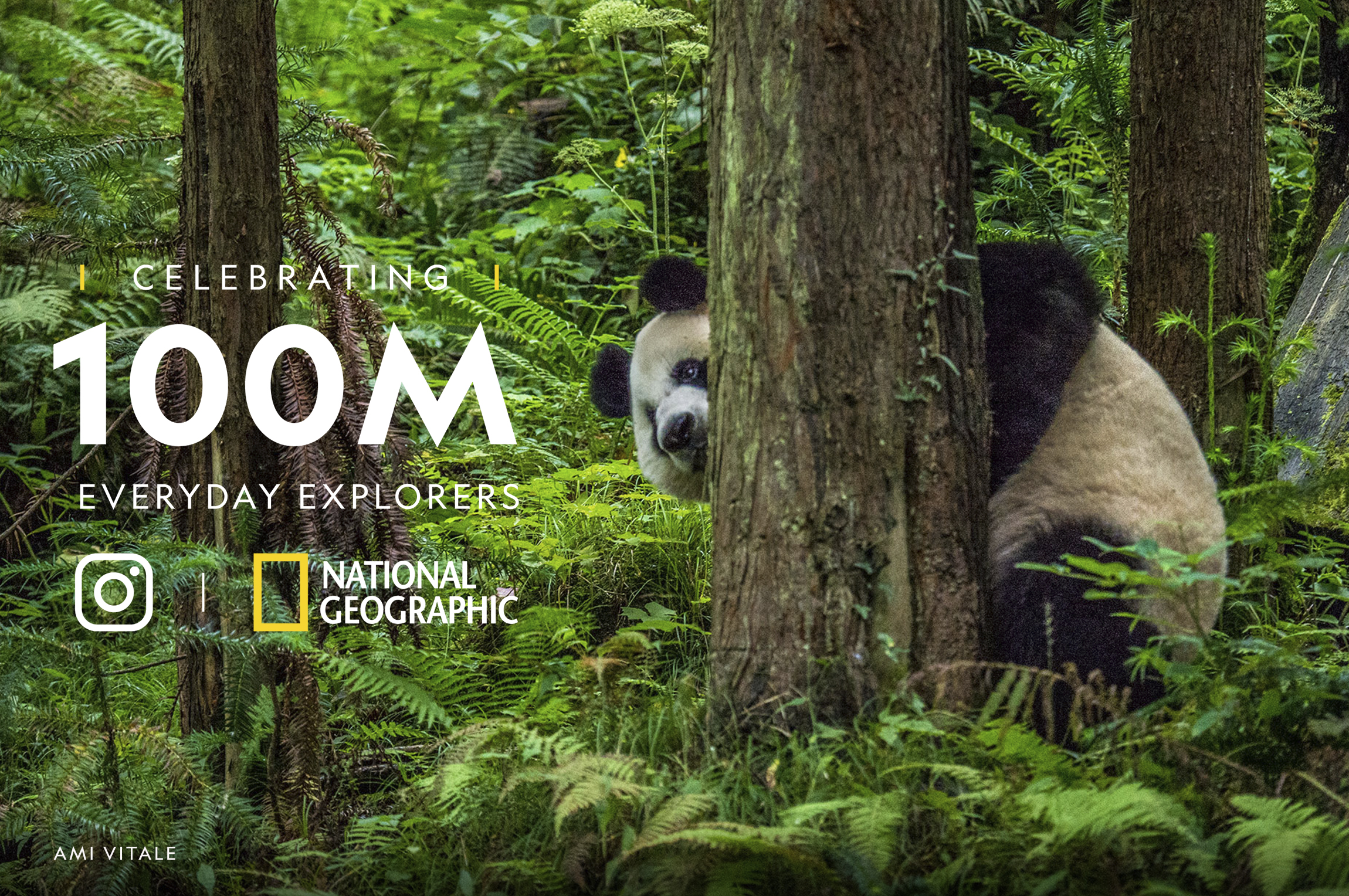 National Geographic's 100 million Instagram followers prove that authenticity is still key