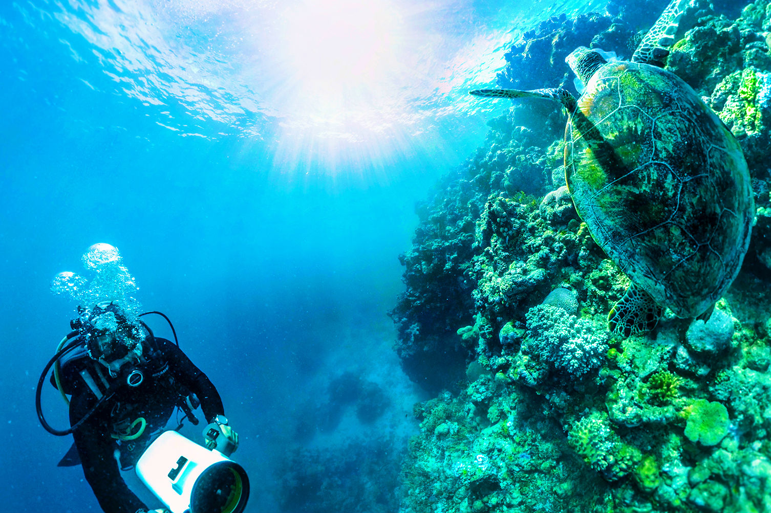 Qantas takes passengers on virtual reality dive into the Great Barrier Reef