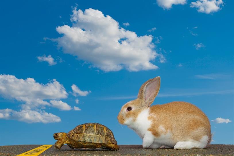 Slow and steady wins the marketing race, says LinkedIn