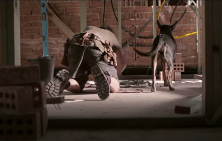 A man, his dog and the KFC burger they share