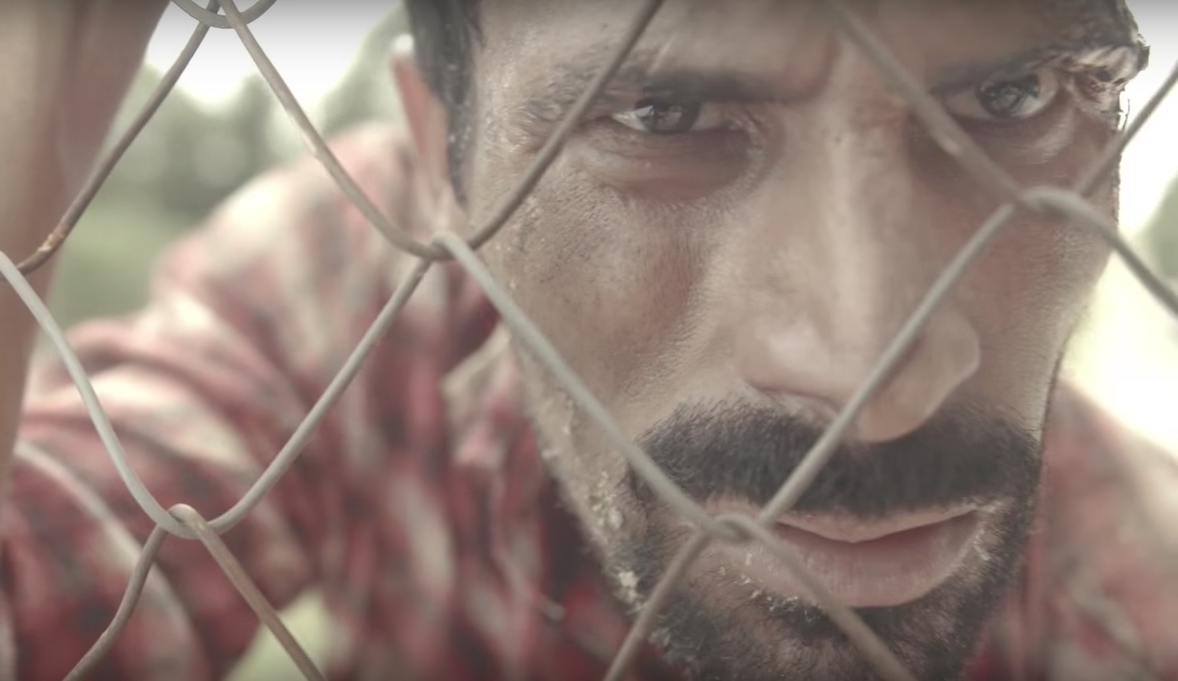 Fox 'walkers' are eating brains and boosting brands