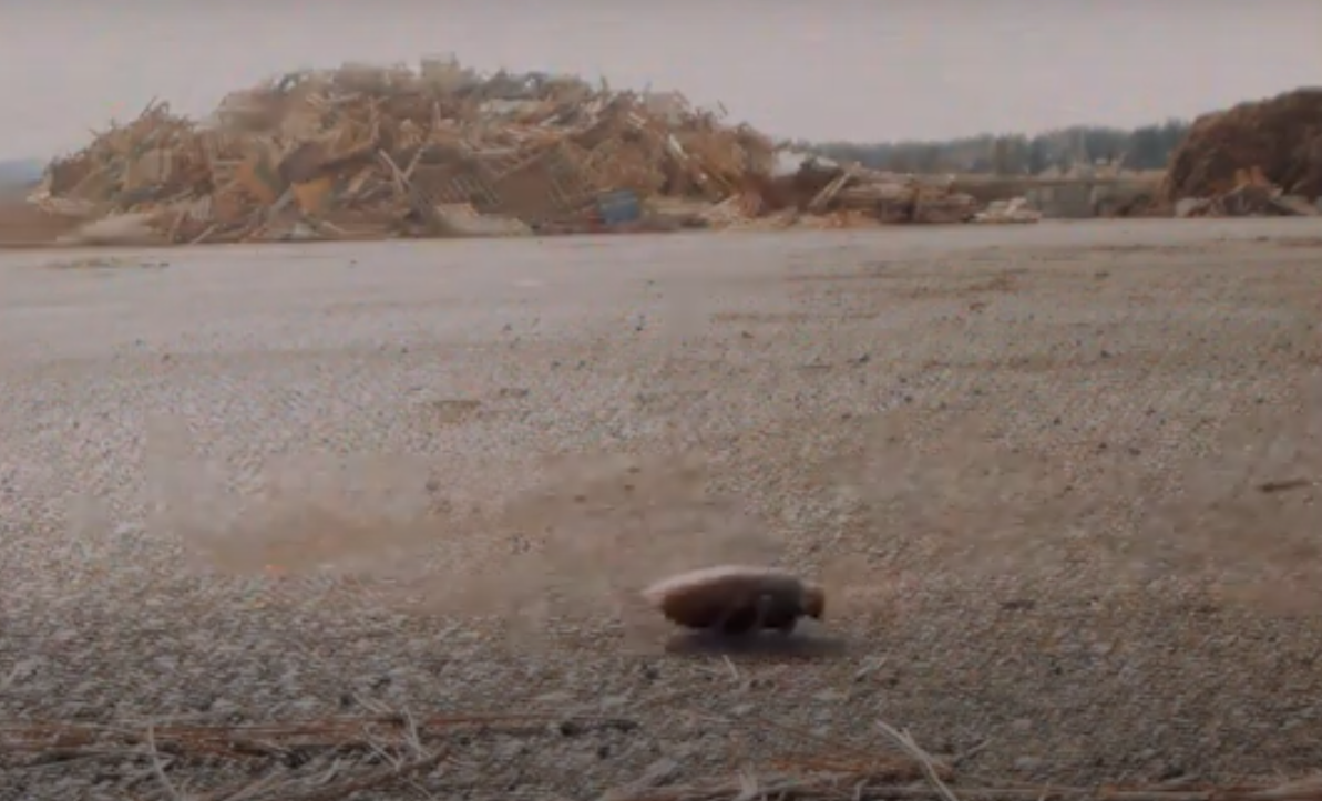 Blockbuster is releasing a Super Bowl ad…on VHS