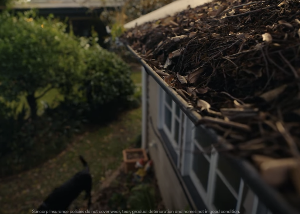 Suncorp and Leo Burnett berate home owners for neglect 