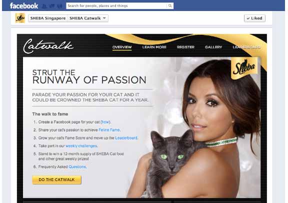 Sheba asks pet owners to create Facebook cat pages
