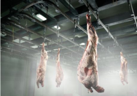 SPH reality contest The Pitch gains momentum