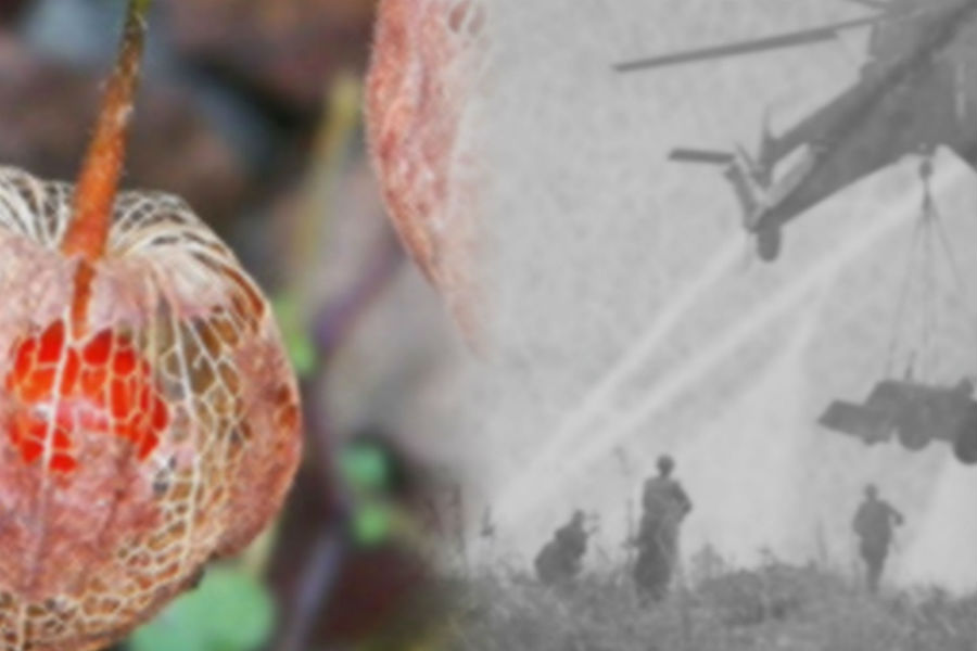 'MI' powers Dentsu’s mesmerising background for Brian Eno track