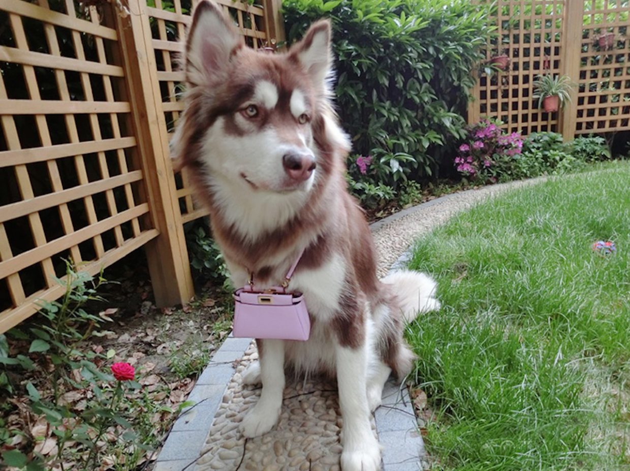 9 slang terms that explain Chinese consumer culture