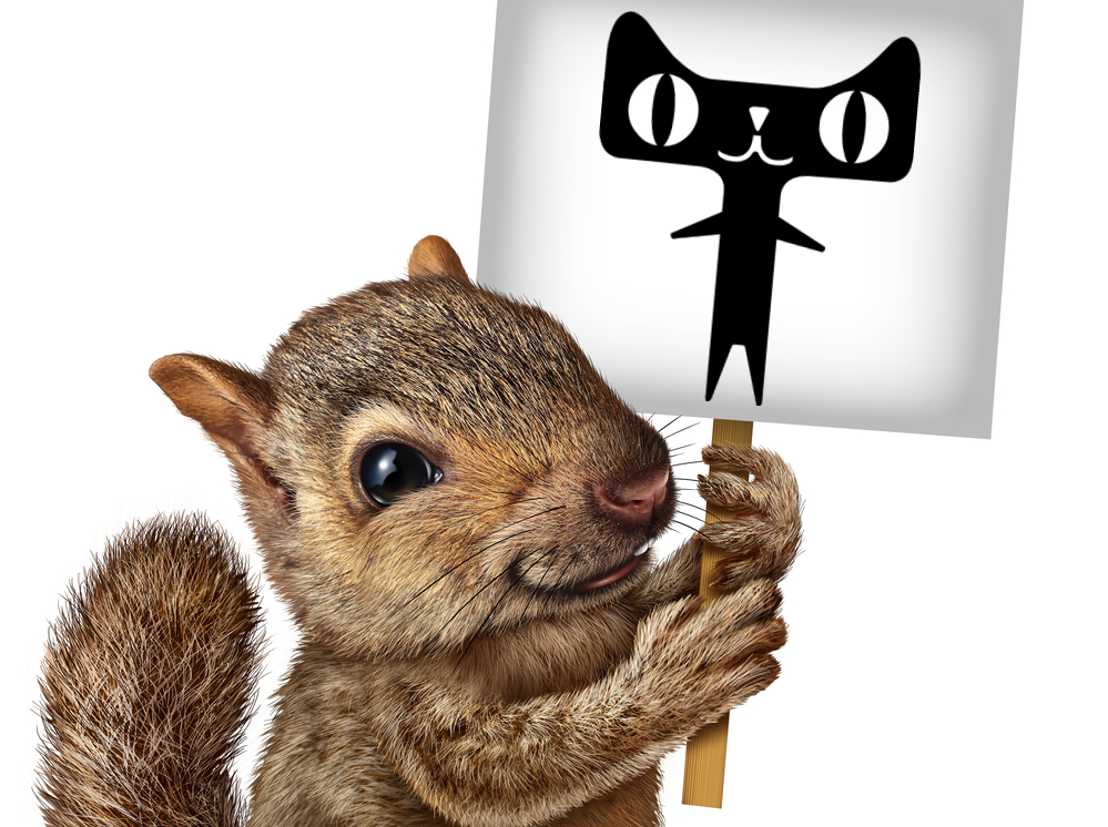 Singles Day brand actions: Ad Nut's 11.11 stash