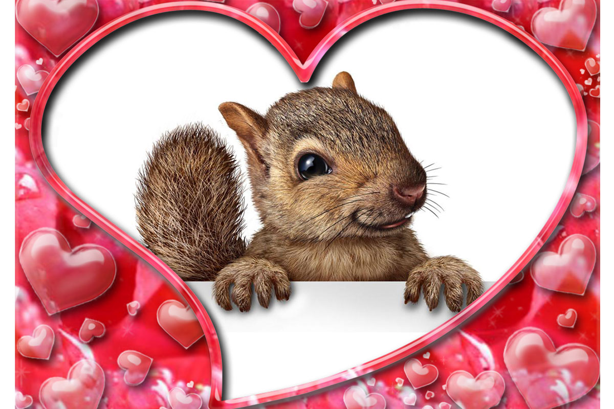 Love it or hate it, you can't stop Valentine's Day marketing